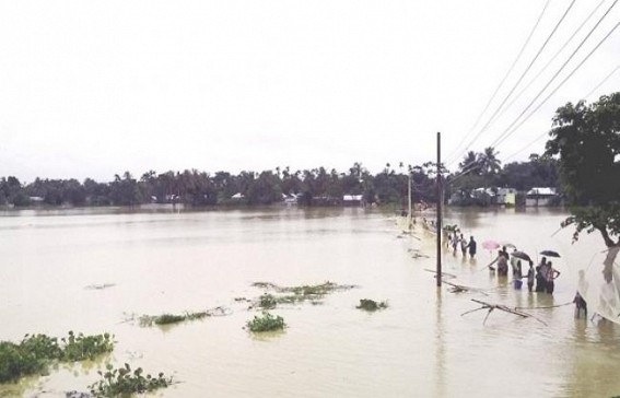 Farmers suffer due to flood